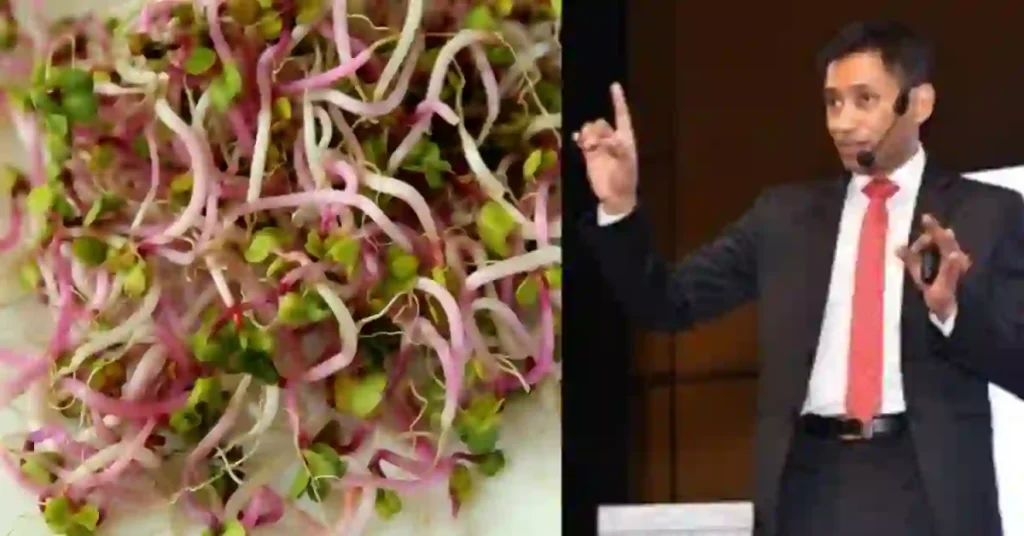 DIP Diet Plan in Hindi डॉ. बिस्वरूप रॉय डी.आई.पी डाइट प्लान 2024 3 DIP Diet Plan in Hindi..