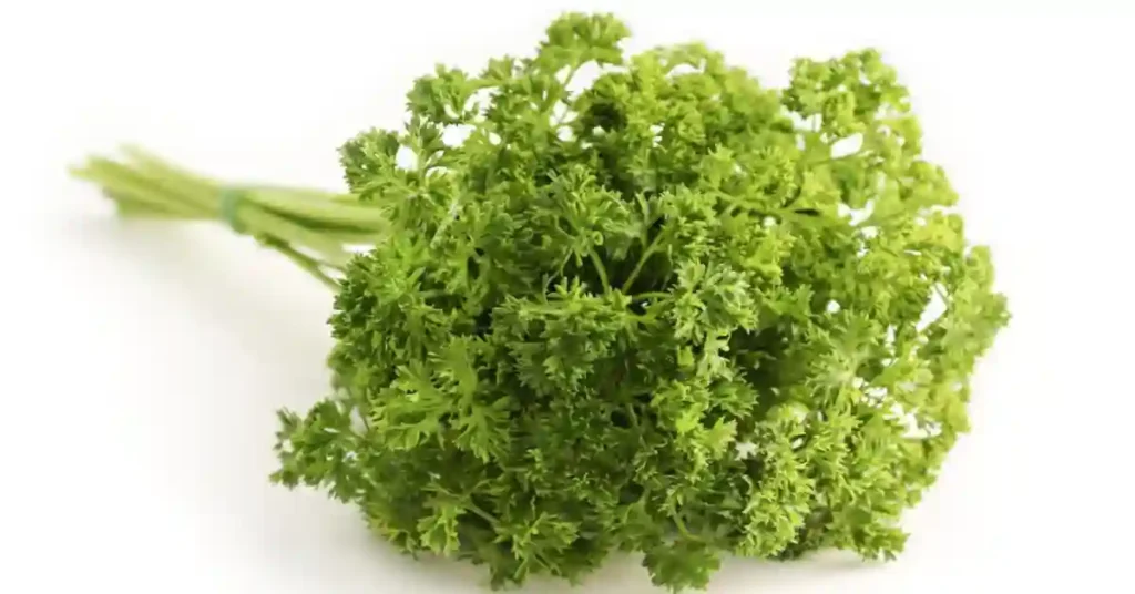 Ayurvedic medicine for flatulence: आध्मान (पेट फूलना) के लिए आयुर्वेदिक औषधि 1 Ayurvedic medicine for flatulence