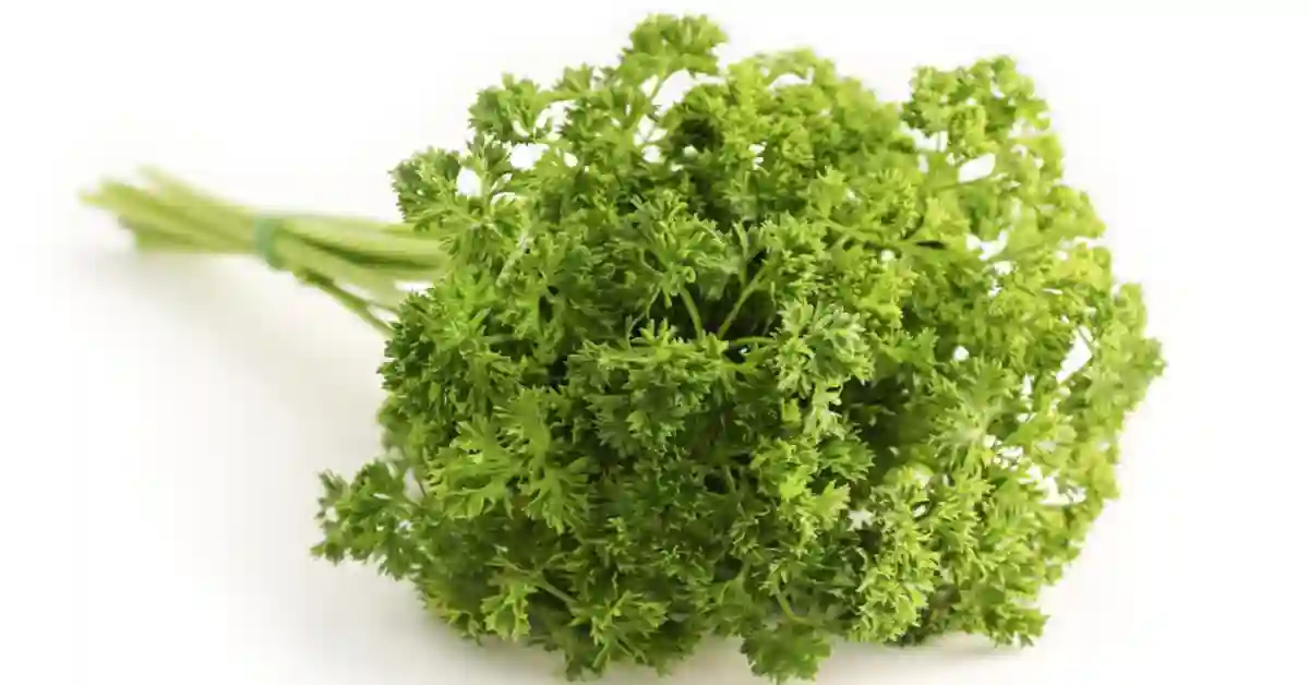 Ayurvedic medicine for flatulence